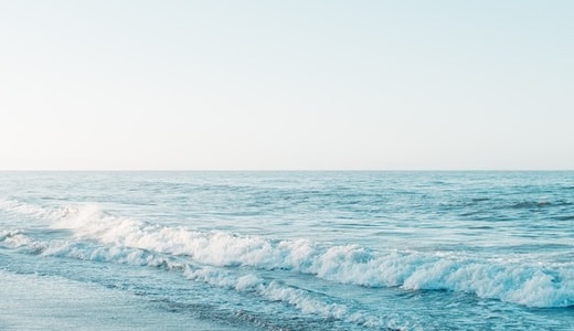 “ワーホリ経験を活かせる仕事”にこだわりすぎて人生失敗した話