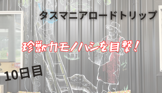 タスマニア　ロードトリップ　10日目